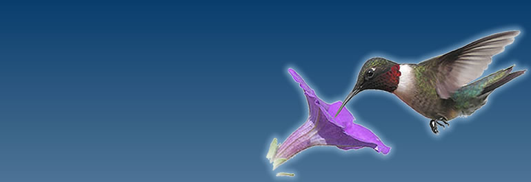 fmslideshow